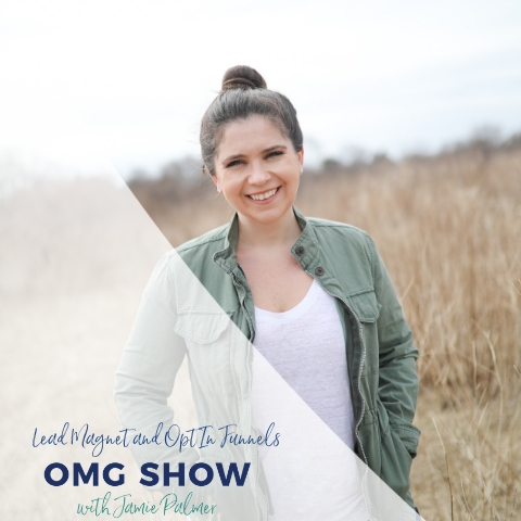 Lead Magnet and Opt In Funnels